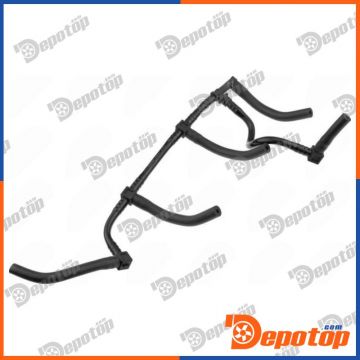 Tuyau, carburant de fuite pour DACIA | BPP-RE-050, 10983